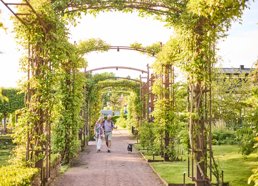vy över Rosenlunds rosarium