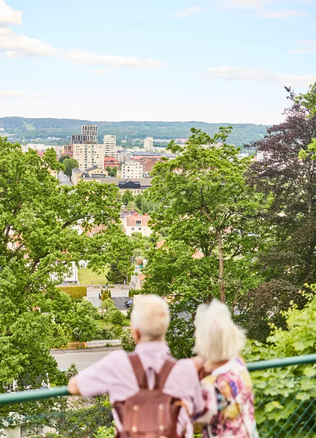 Vy över stadsparken