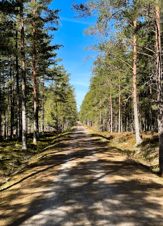 Vägen som en gång i tiden var en järnvägsräls vid Dumme mosse